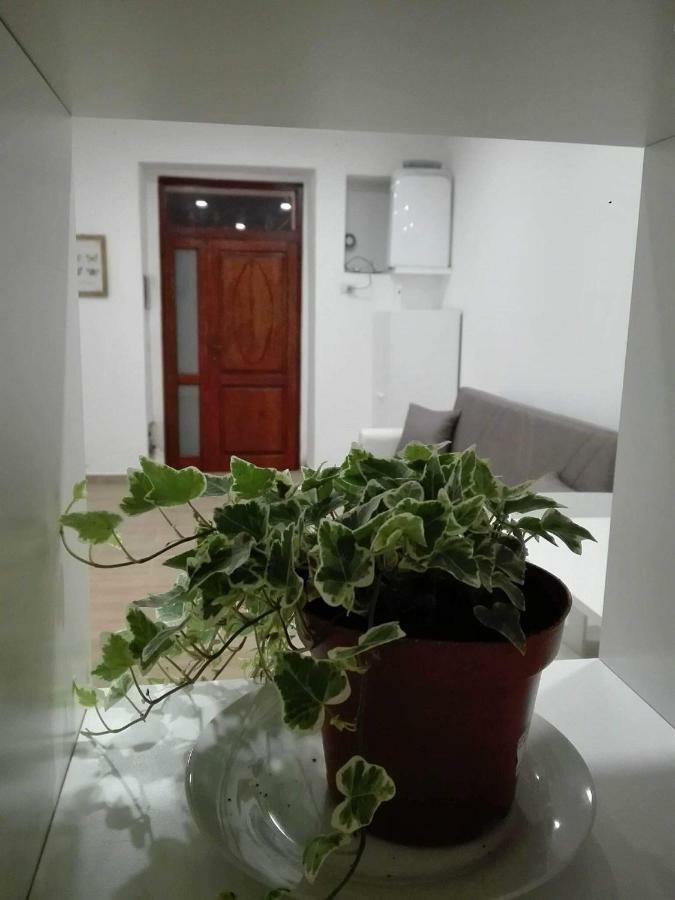 Apartmán Al Centro Di Cagliari Exteriér fotografie